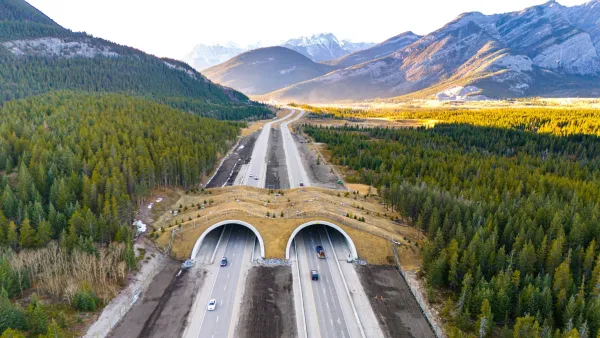 Banff wildlife overpass