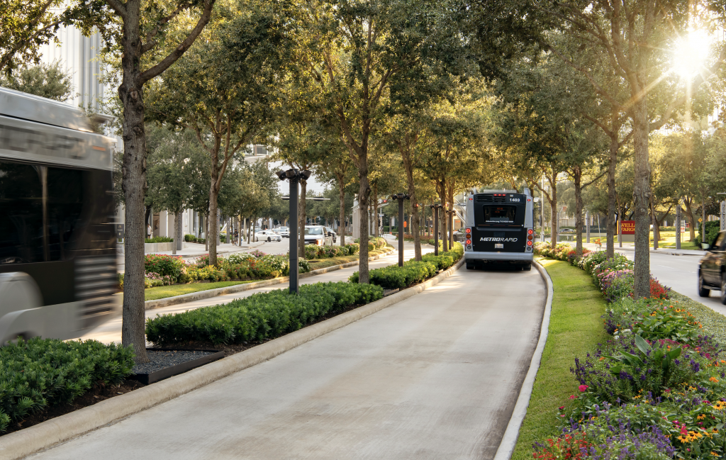 A MetroRapid bus drivers beneath trees on its own, separated route in New Orleans.