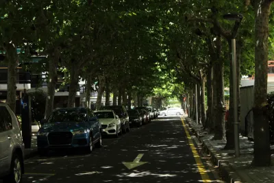 Tree-lined street with large old trees and full parking lane and one-way driving lane in Spain.