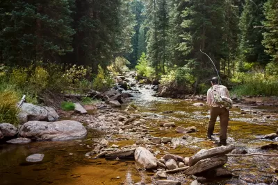 Streamer Fishing in Colorado is Blowing Up!