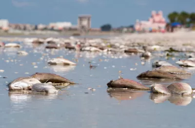 Red Tide' Imperils Southwest Florida Economy | Planetizen News