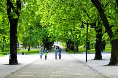 Mapping New York City's Trees (Now With More Trees) - Bloomberg